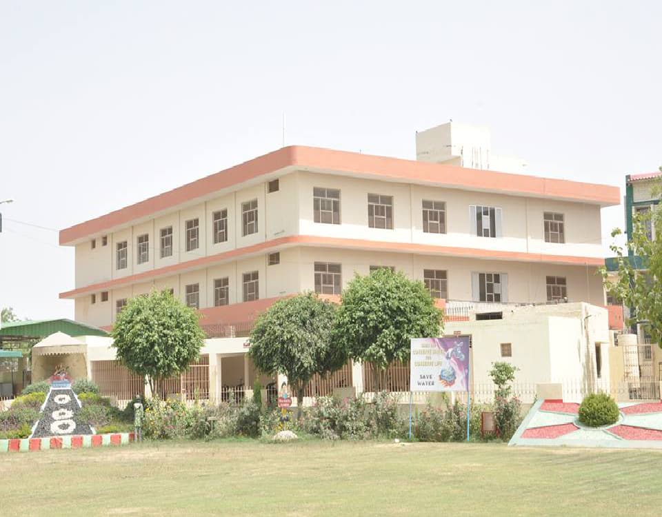 MM College-gallery-image-4