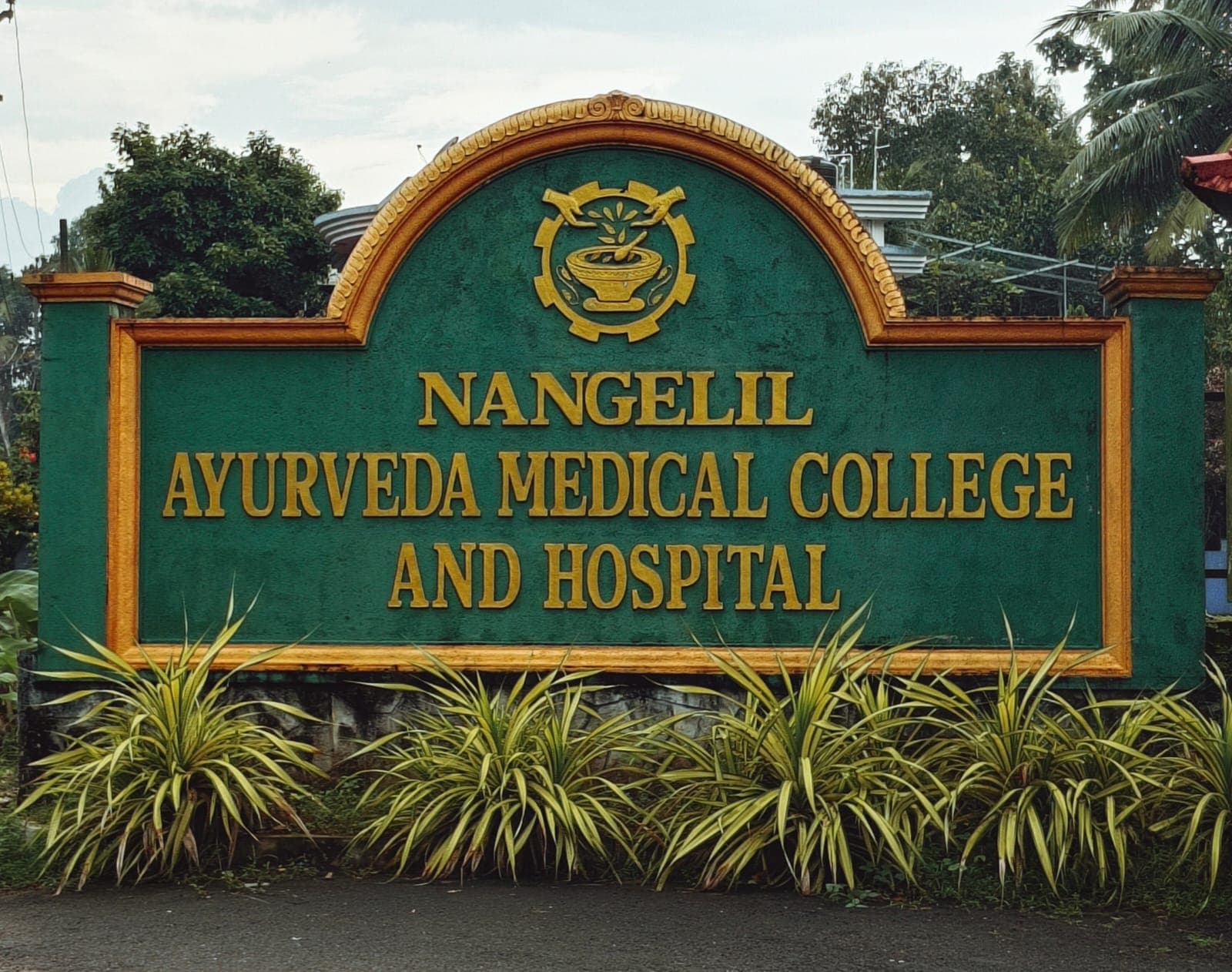 Nangelil Ayurveda Medical College-image