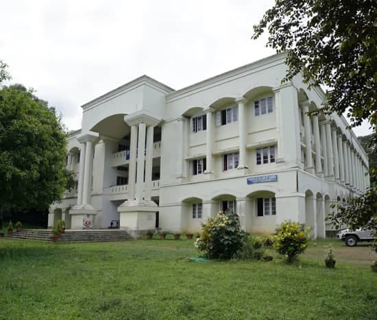 THEOPHILUS COLLEGE OF NURSING-image