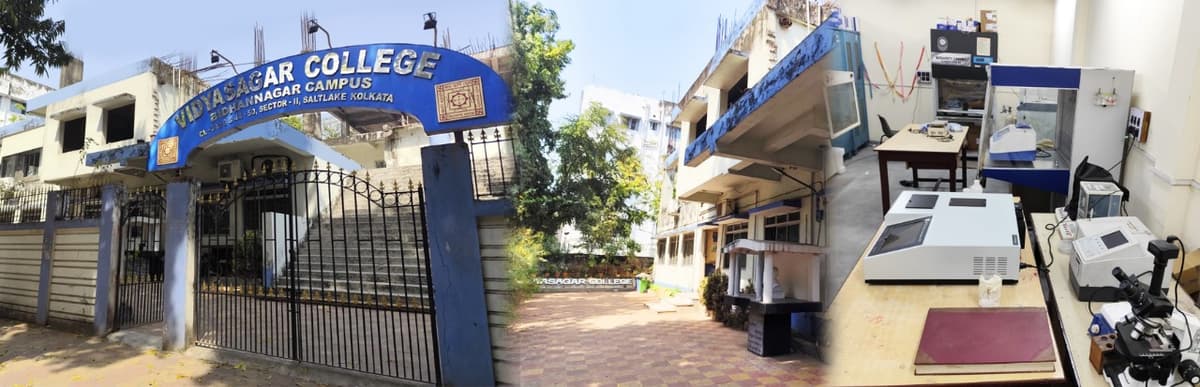 Vidyasagar College-gallery-image-2