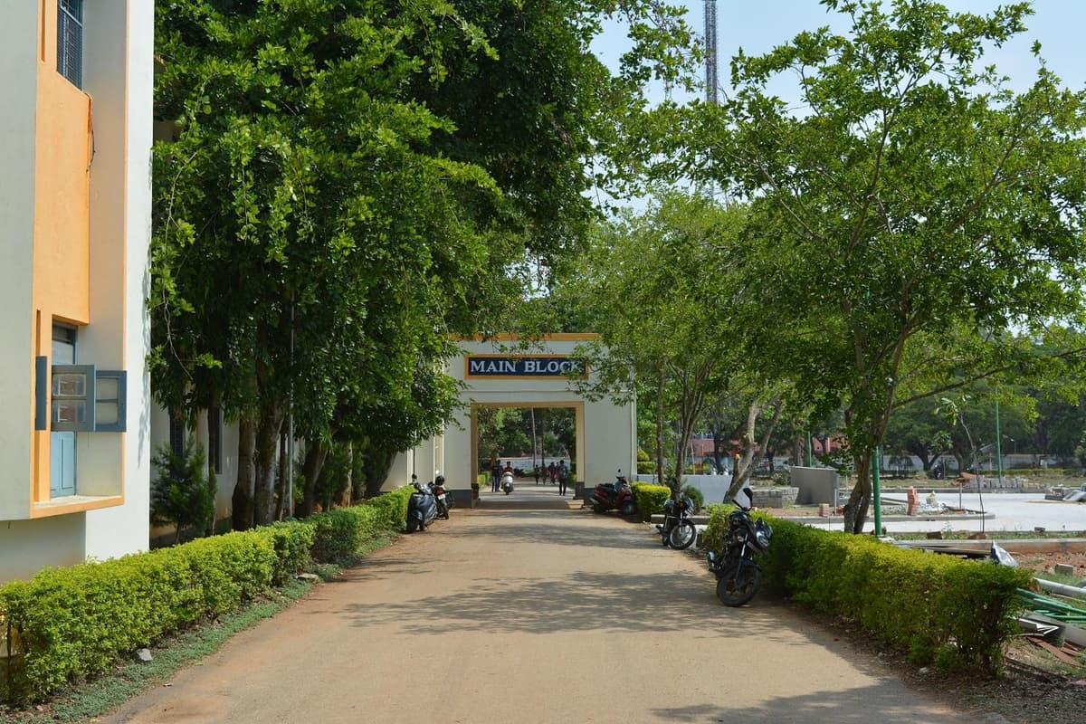 MCE Hassan-gallery-image-4