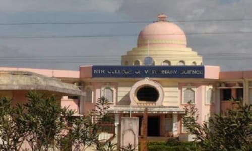 N.T.R. College of Veterinary Science-image