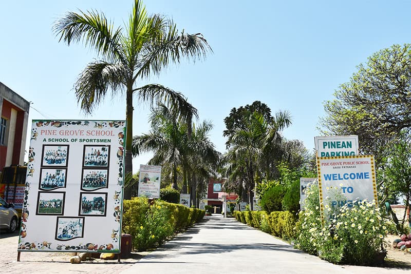 Pine Grove College of Education-image