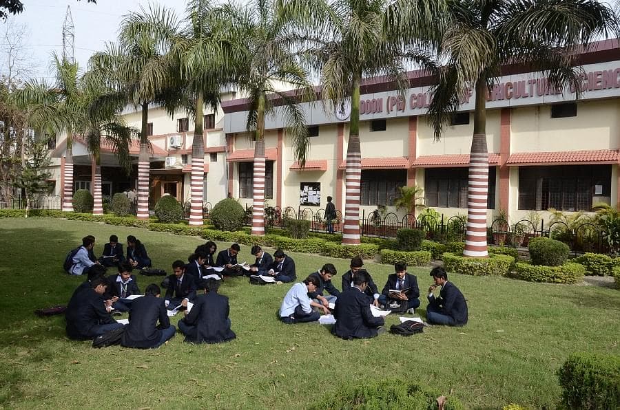 DVCE-gallery-image-4