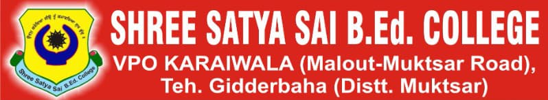 Shree Satya Sai Bachelor of Education College-image