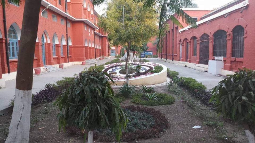 Govt College Hoshiarpur-gallery-image-2