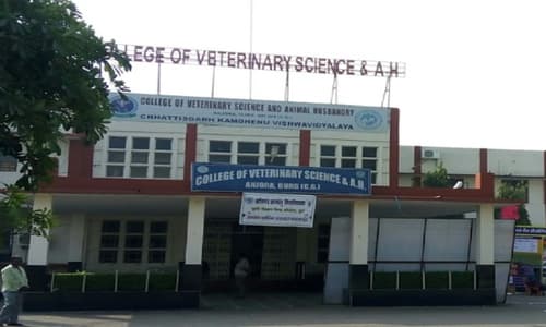 College of Veterinary Science and Animal Husbandry-image