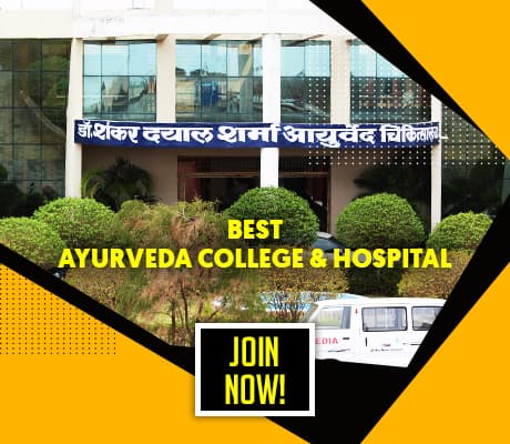 Dr Shankar Dayal Sharma Smriti Mahavidyalaya-image