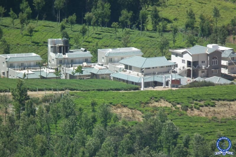 McGANSOA-gallery-image-4