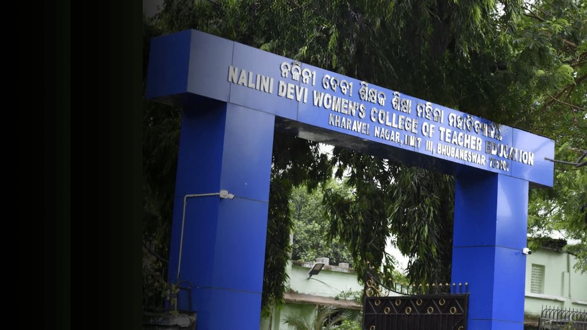 NDWCTED-gallery-image-2