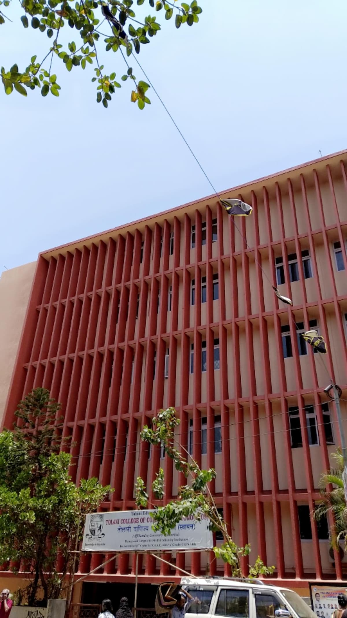 Tolani Commerce College-gallery-image-2