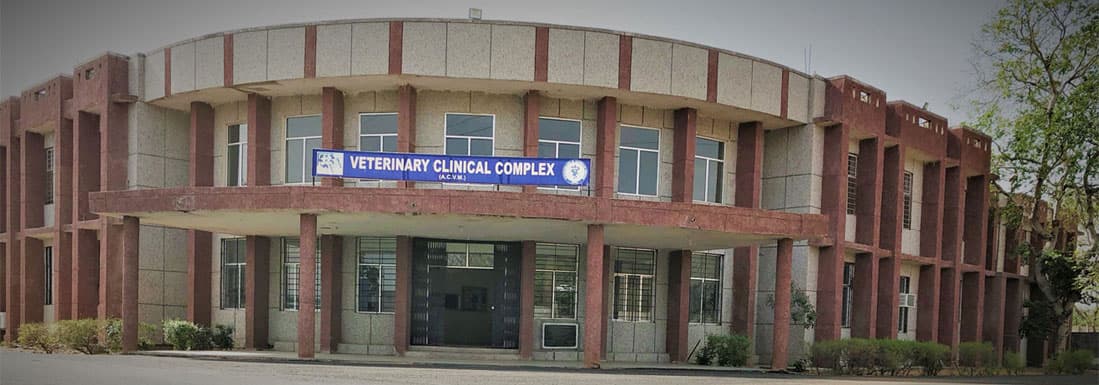 Apollo College of Veterinary Medicine-image