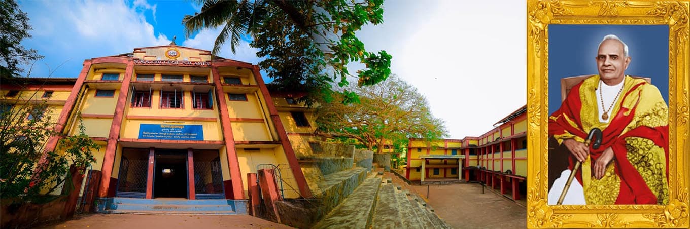 N.S.S. College-image