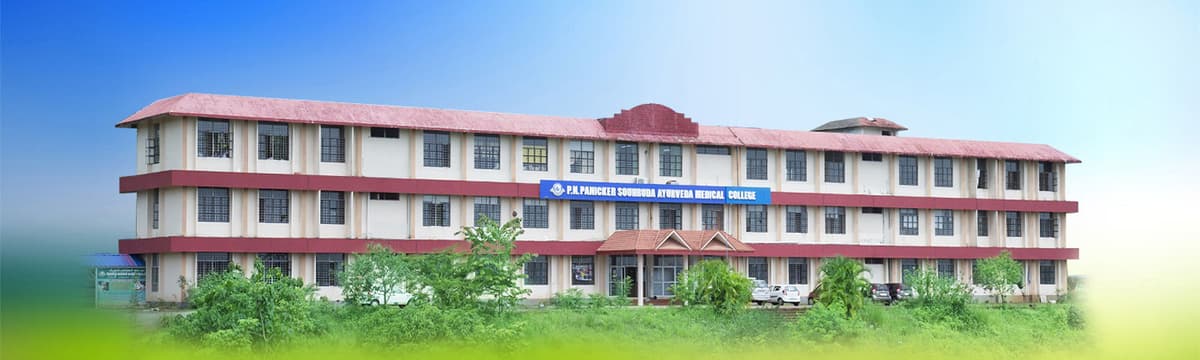 PNPSAMC-gallery-image-3