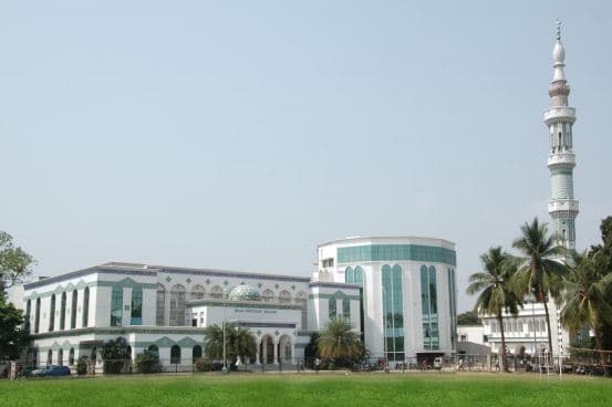 The New College-image