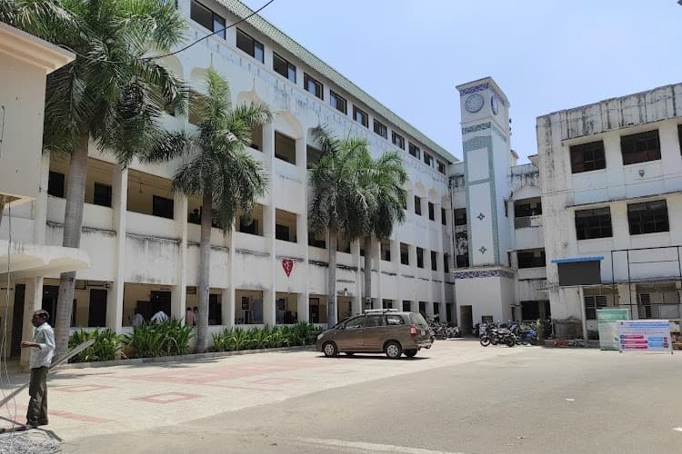 The New College Chennai-image