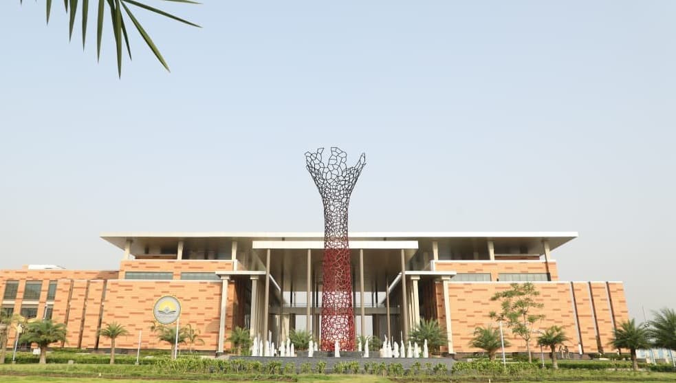 IIMN-gallery-image-2