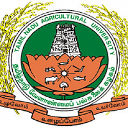 Agricultural Engineering College and Research Institute-image