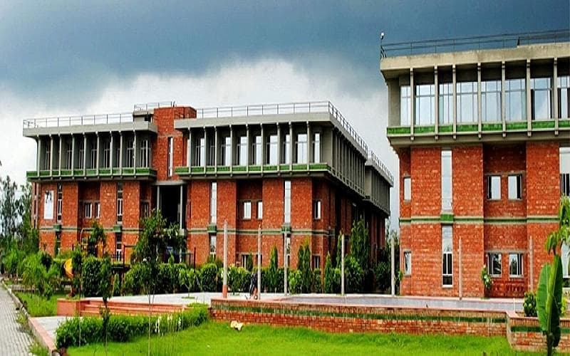 Vidya Institute of Fashion Technology-image