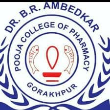 Dr. B.R. Ambedkar Pooja College of Pharmacy-image