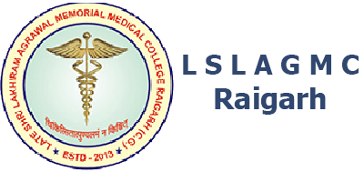 Late Shri Lakhi Ram Agrawal Memorial Government Medical College-image