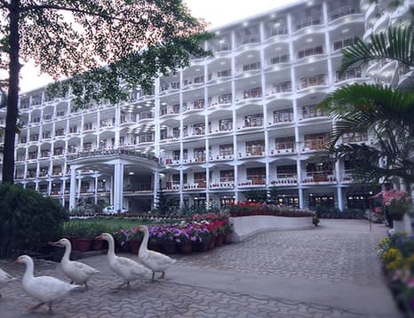 None-gallery-image-2