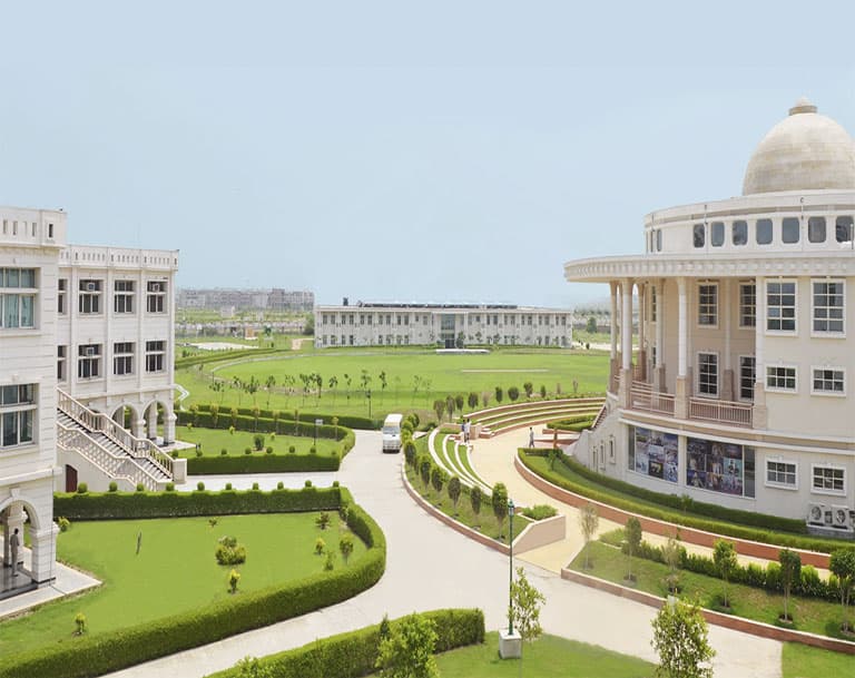 Noida International University, School of Nursing and Health Sciences-image