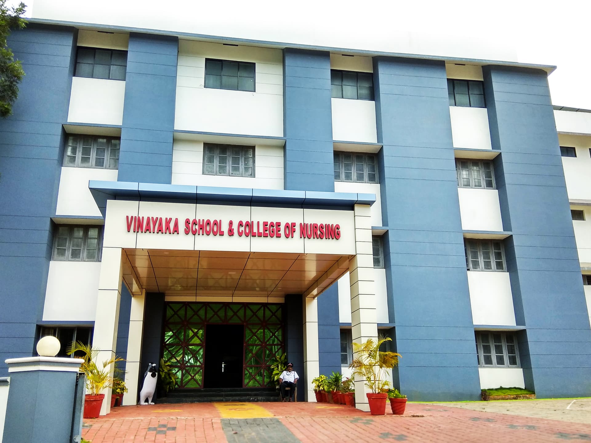 Vinayaka College and School of Nursing-image