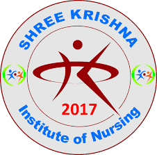 Shree Krishna Institute of Nursing-image
