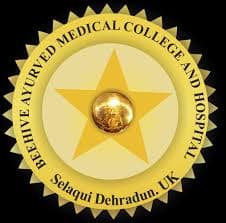 Beehive Ayurved Medical College and Hospital-image