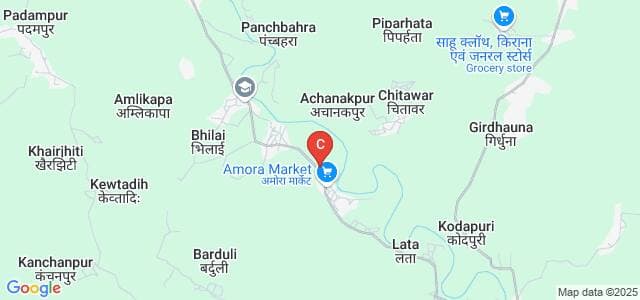 Government Naveen College, Amora-image