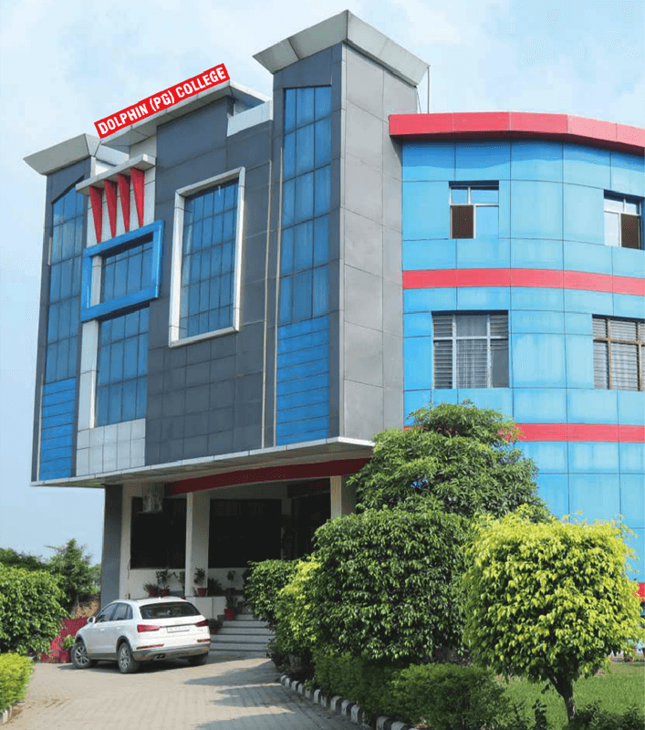 Dolphin (PG) College-gallery-image-3