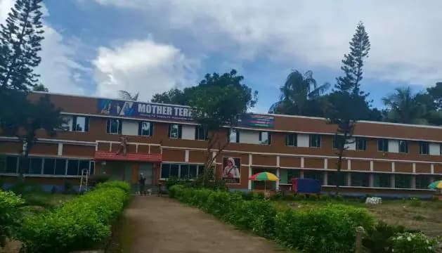 Mother Teresa Institute of Nursing-image