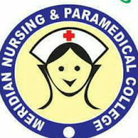 Meridian Nursing & Para Medical College-image