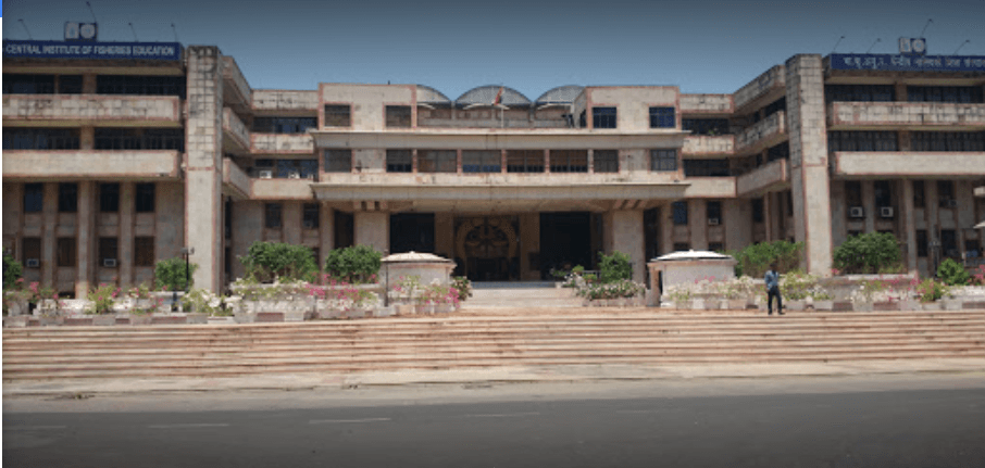 CIFE Mumbai-gallery-image-3