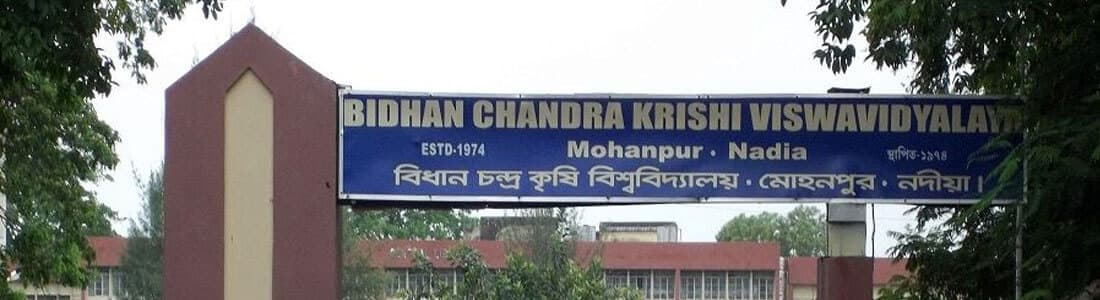 BCKV-gallery-image-4