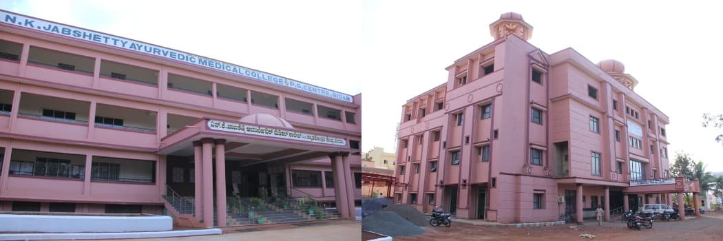 NKJ Ayurvedic Medical College-gallery-image-2