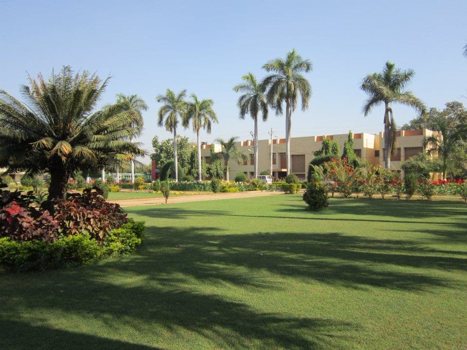 BACA Anand-gallery-image-4