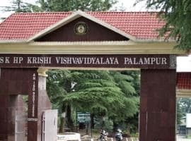 Chaudhary Sarwan Kumar Himachal Pradesh Krishi Vishvavidyalaya-gallery-image-4