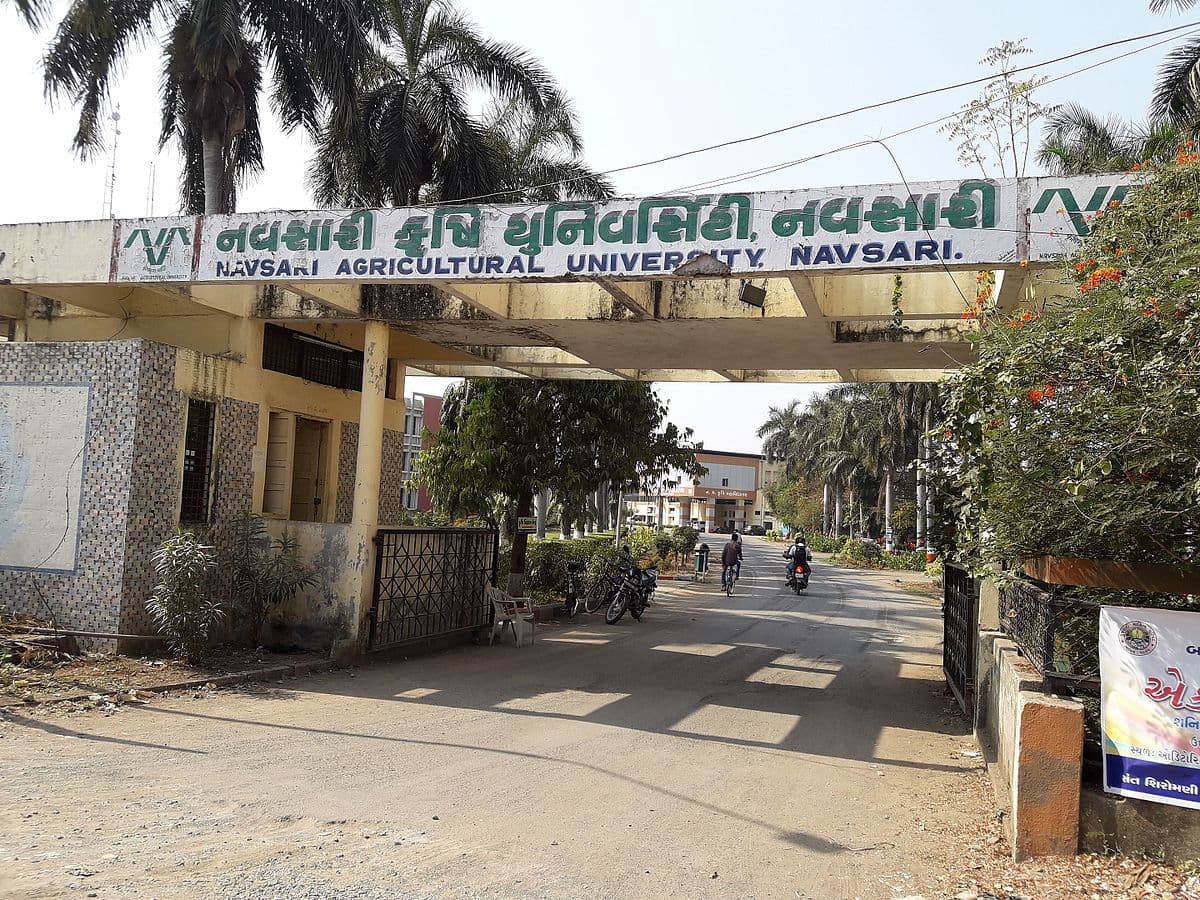 Navsari Agricultural University-image