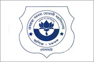 Hemo Prova Borbora Girls' College-image