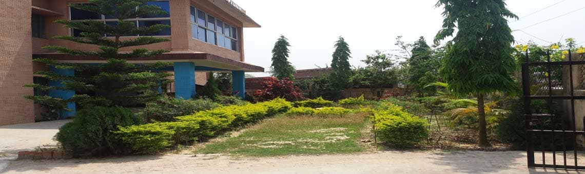 Institute of Business Management-image