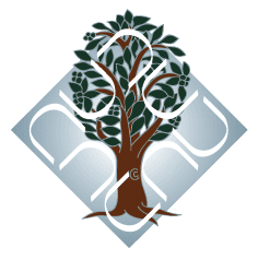 Dr. B. R. Ambedkar University-image