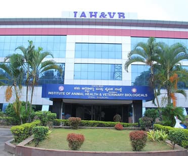 KVAFSU-gallery-image-3