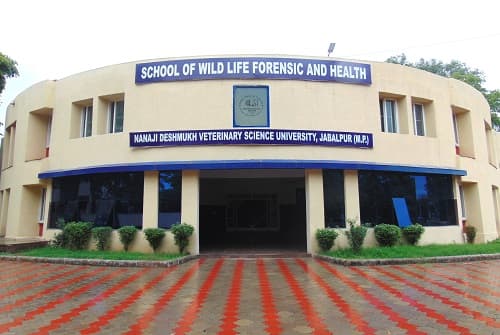 Nanaji Deshmukh Pashu Chikitsa Vigyan Vishwavidyalaya-gallery-image-1