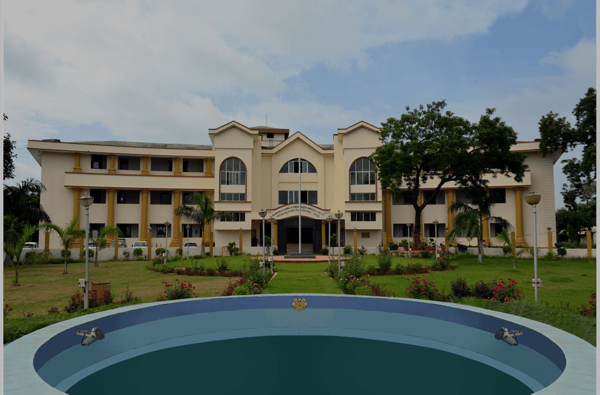 MAFSU-gallery-image-1