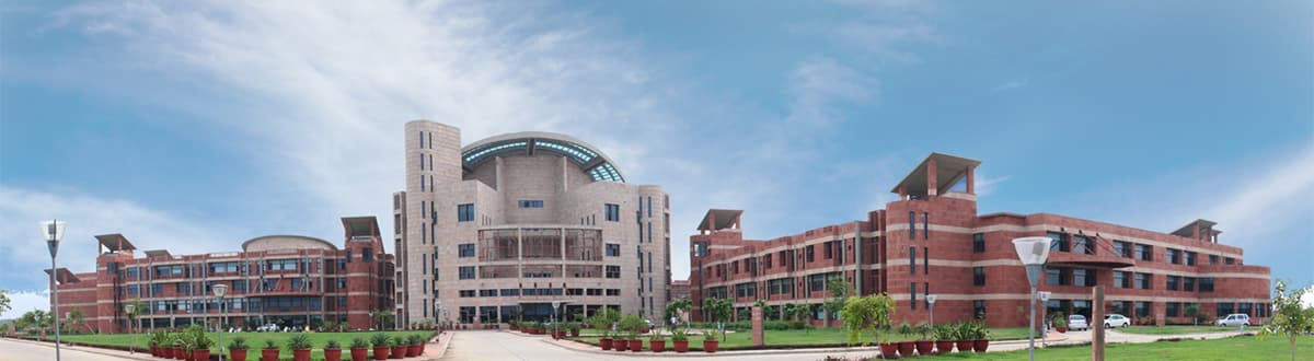 DLC SUPVA-gallery-image-3