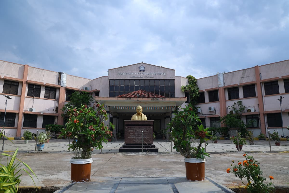 PVNRTVU-gallery-image-3