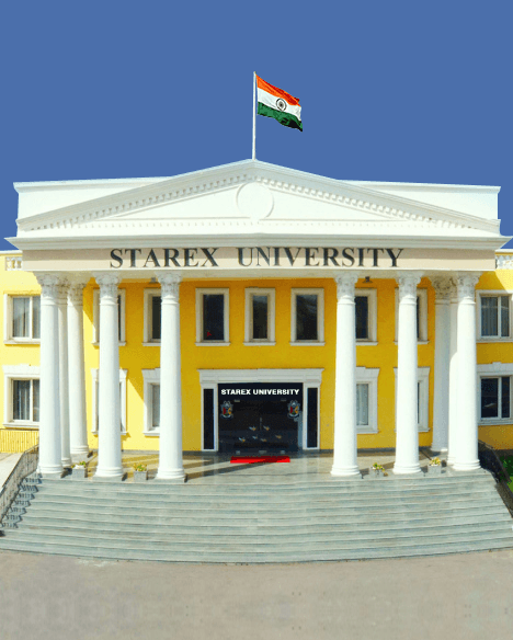 STAREX UNIVERSITY-gallery-image-2