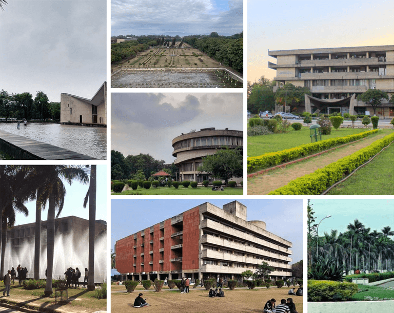 Panjab University-image